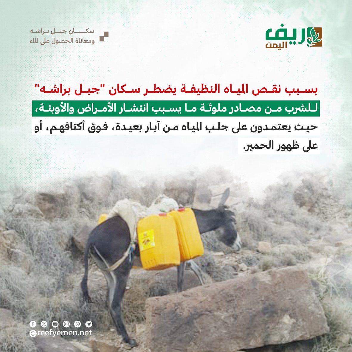 تعز.. سكان "جبل البراشة" يعشون أزمة مياه حادة