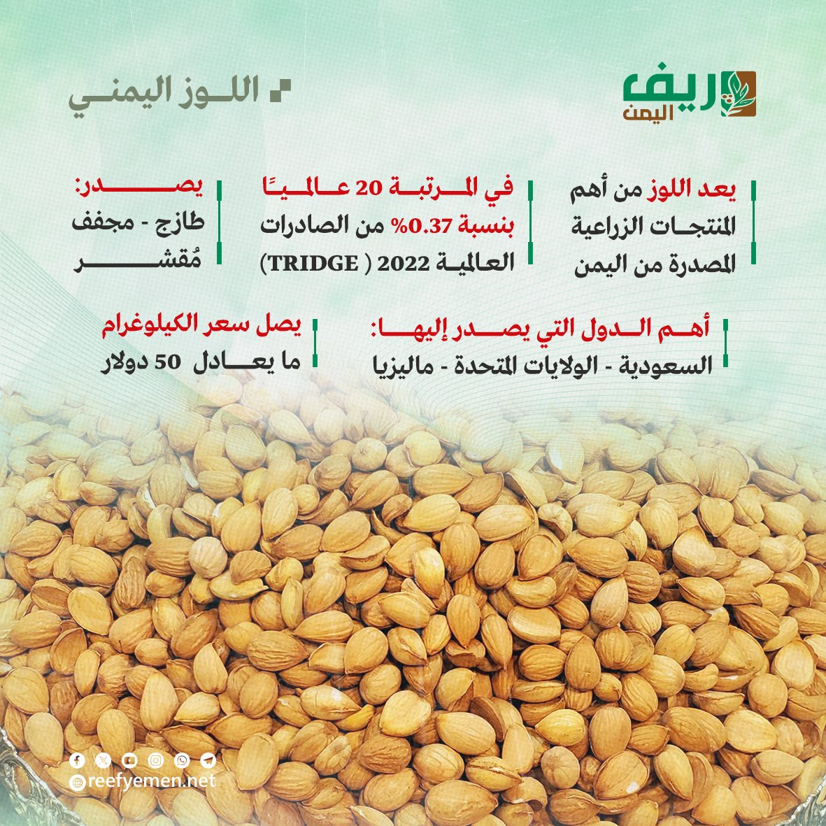 زراعة اللوز اليمني