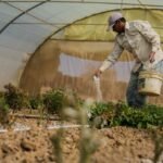 مزارع يمني في محمية