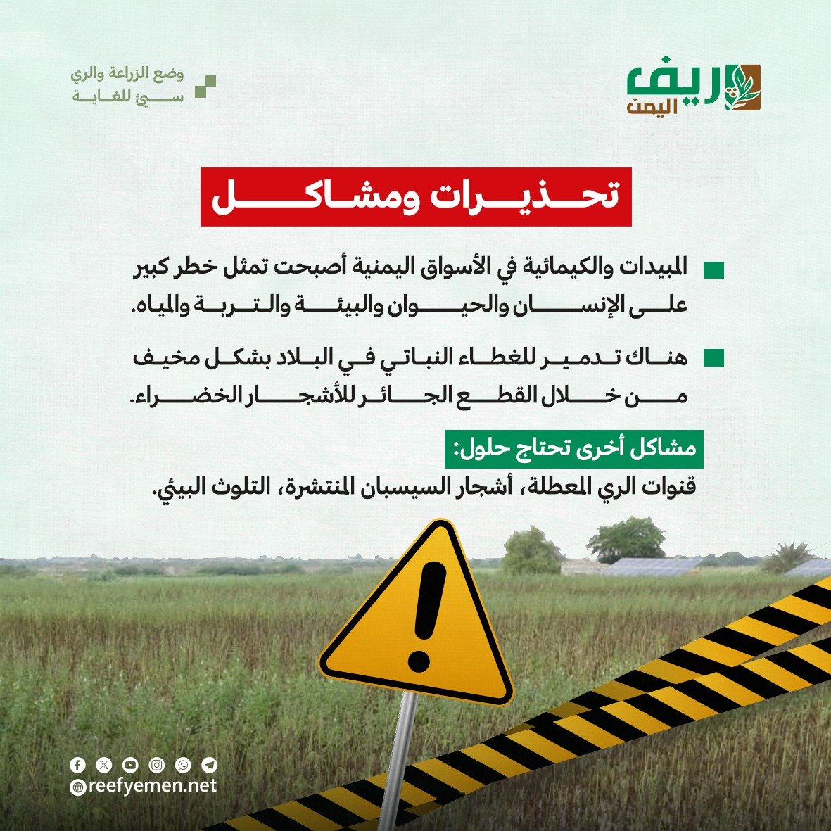 أبين: آفات وأمراض تهدد المزراعين لأول مرة