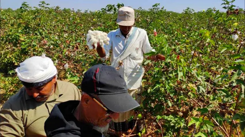 أبين.. موطن الزراعة والاصطياد في اليمن