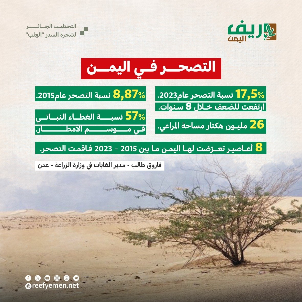 التحطيب الجائر لشجرة السدر "العِلب" باليمن