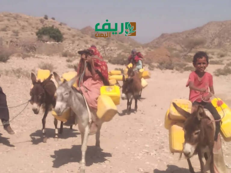 آبار اليمن المتلاشية: كيف أصبحت المياه سبباً للنزاعات؟