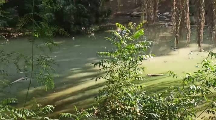 سكان قرية طهرر لحج: العيش وسط الأوبئة بسبب الصرف الصحي