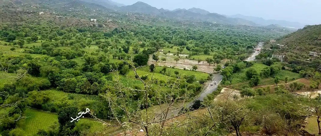 وادي الضباب.. سلة تعز الغذائية في مواجهة التحديات