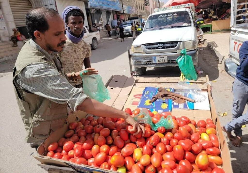 استيراد الطماطم: إعلان حرب على المزارعين باليمن