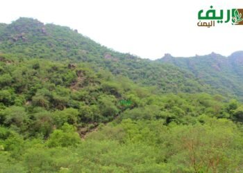 المناخ والصراع يهددان التنوّع البيولوجي باليمن