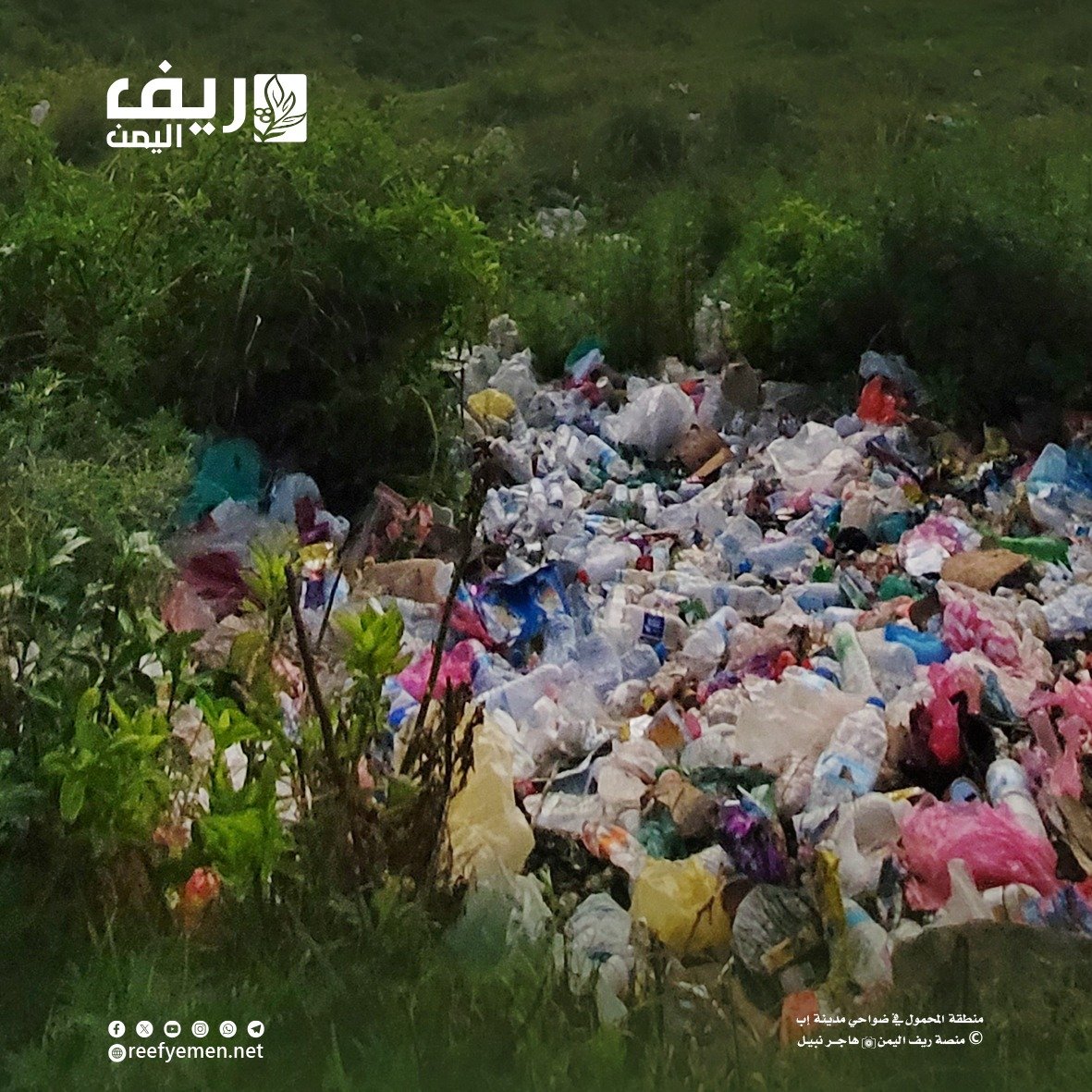 المناخ والصراع يهددان التنوّع البيولوجي باليمن