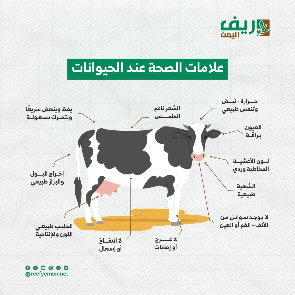 علامات وأعراض مرض الماشية في حضيرتك