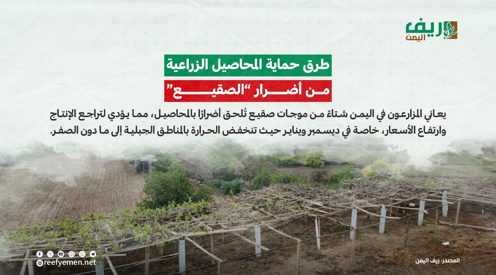 كيف نحمي الزراعة من الصقيع "الضريب"؟
