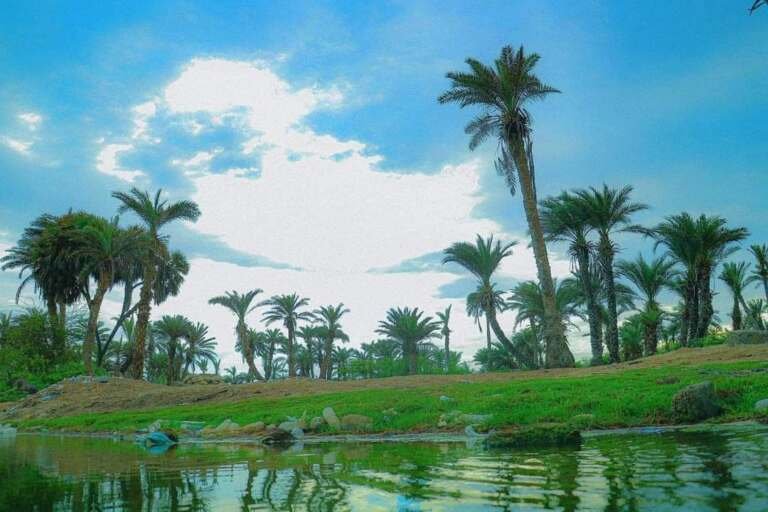 مدينة الخوخة: لؤلؤة الساحل الغربي في اليمن