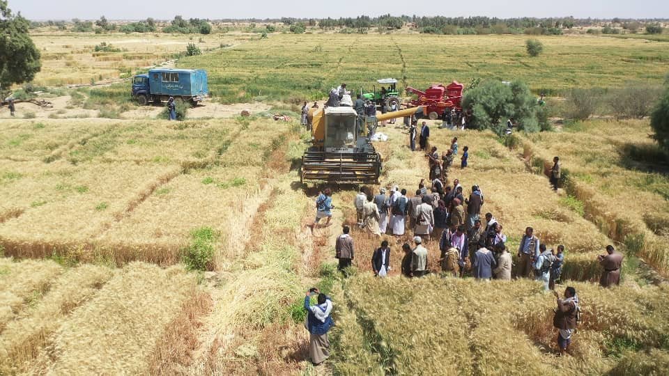 محافظة الجوف اليمنية: معالم تأريخية وآراضي واسعة
