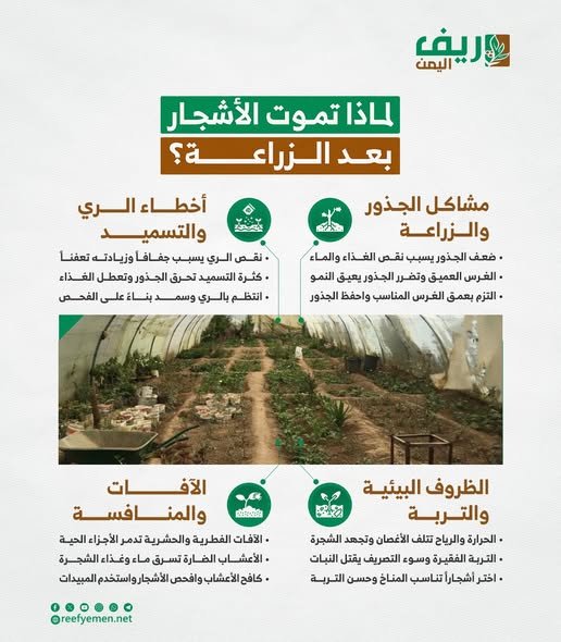 ما أسباب موت الأشجار بعد زراعتها؟