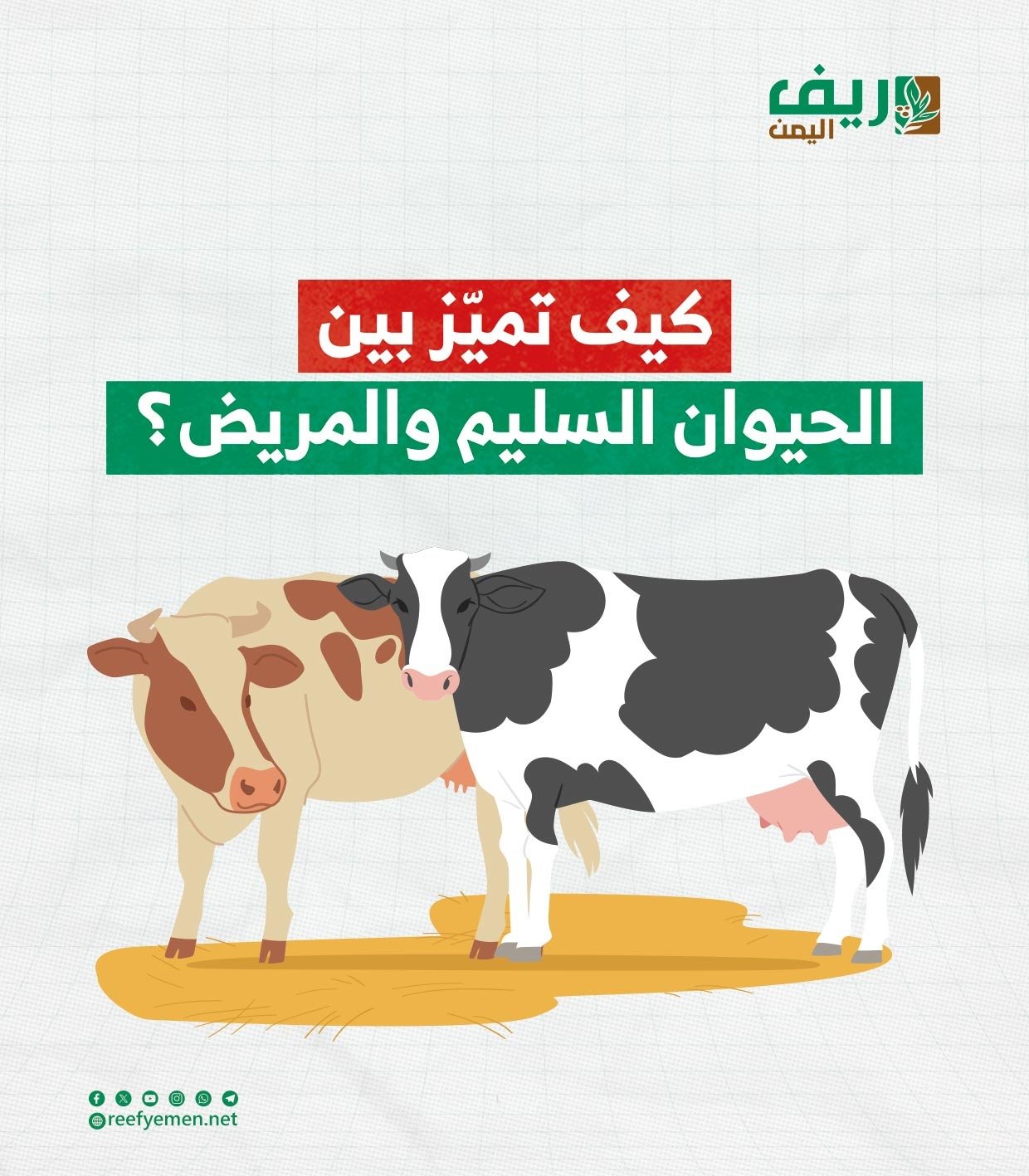 علامات وأعراض مرض الماشية في حضيرتك