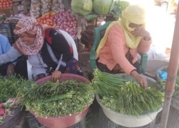 بائعات الكراث.. مكافحات يقاومن التمييز المجتمعي