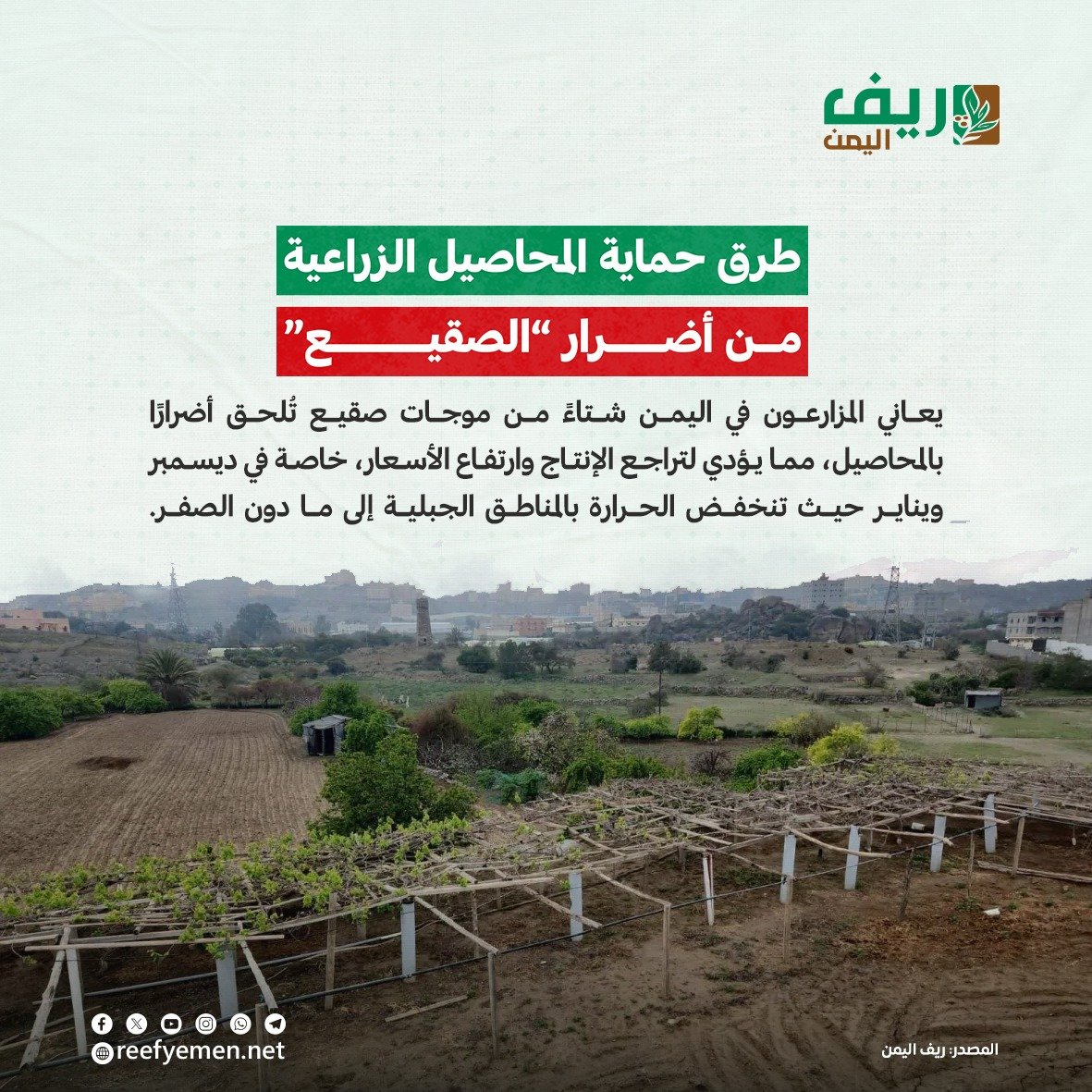 كيف نحمي الزراعة من الصقيع "الضريب"؟