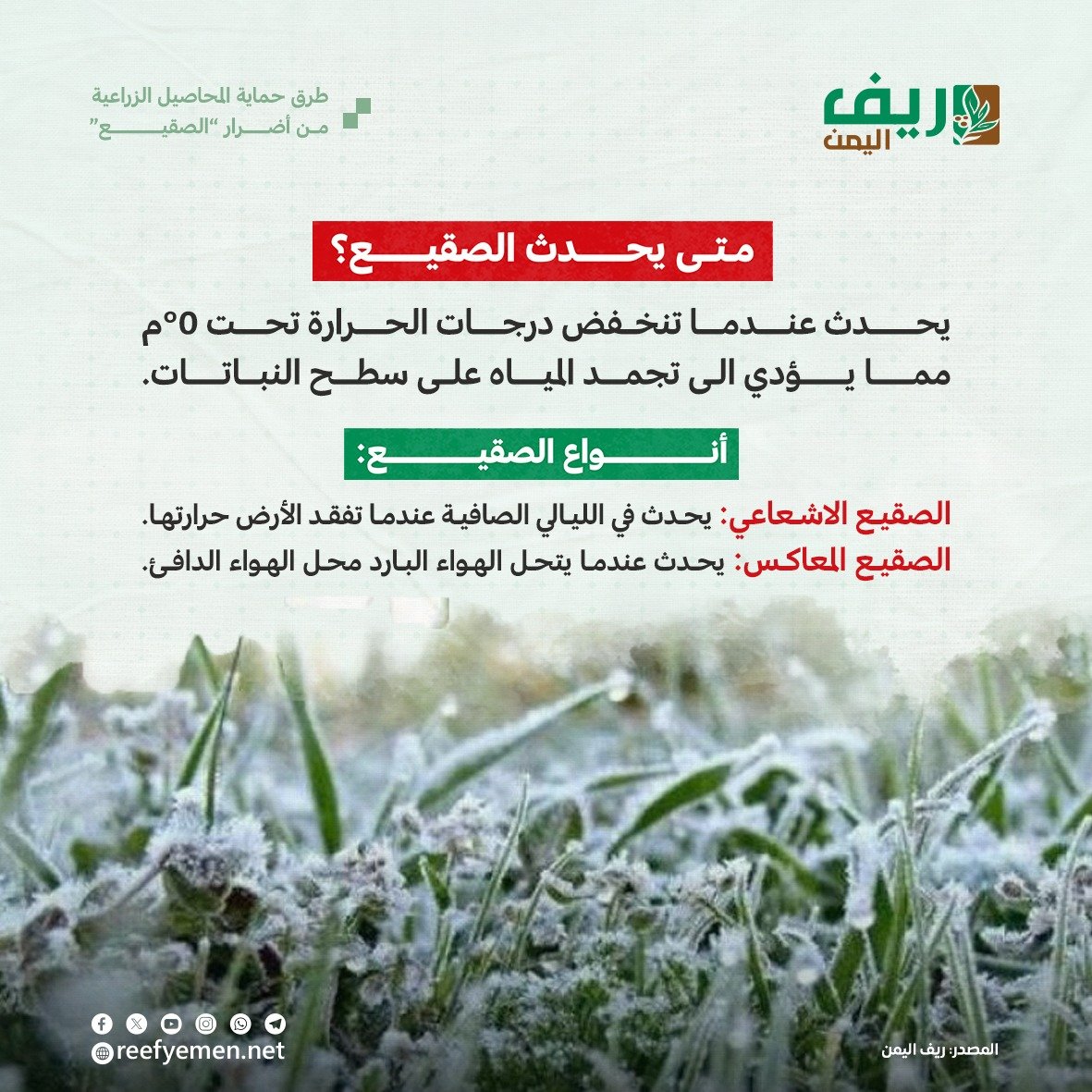 كيف نحمي الزراعة من الصقيع "الضريب"؟