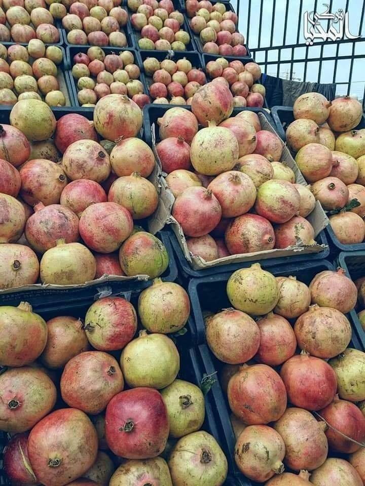 الرمان اليمني