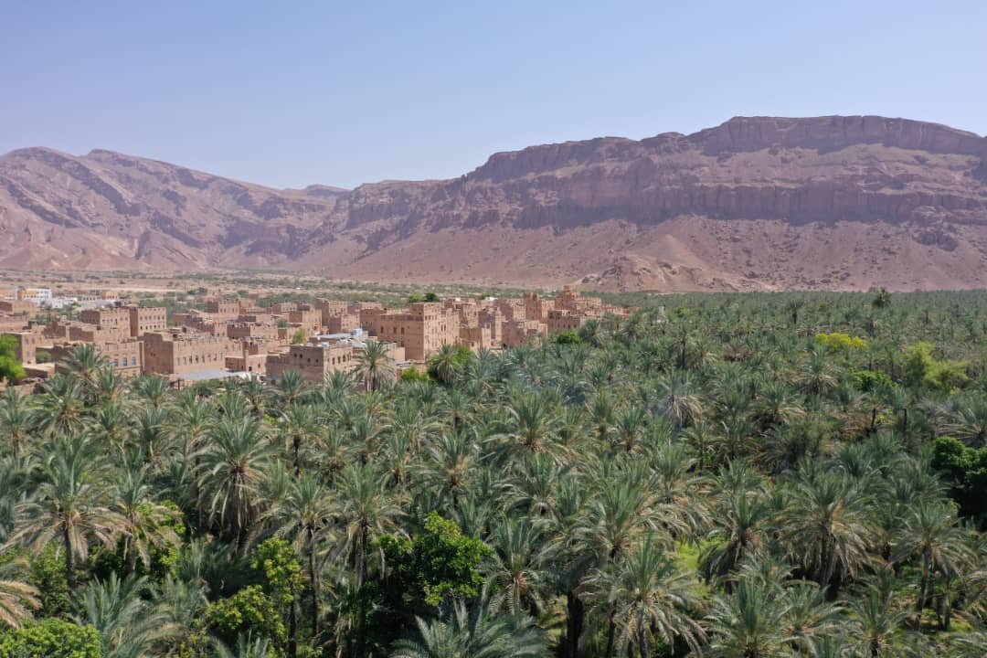 سكان باقَرْوَان حضرموت..عندما تصبح الخدمات الصحة أمنية