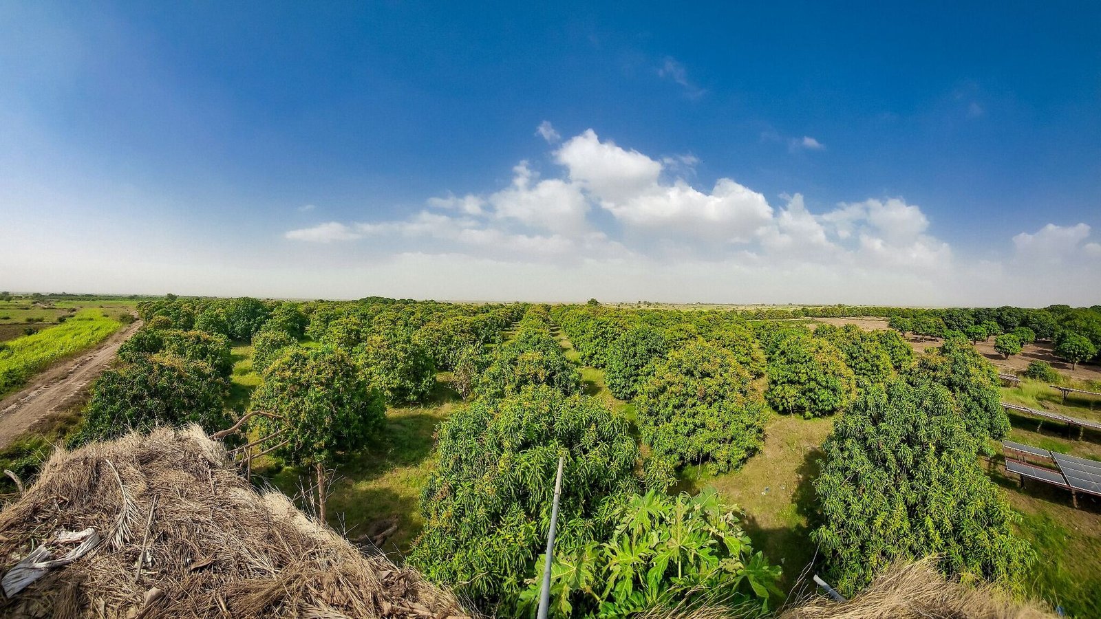 مدينة الخوخة