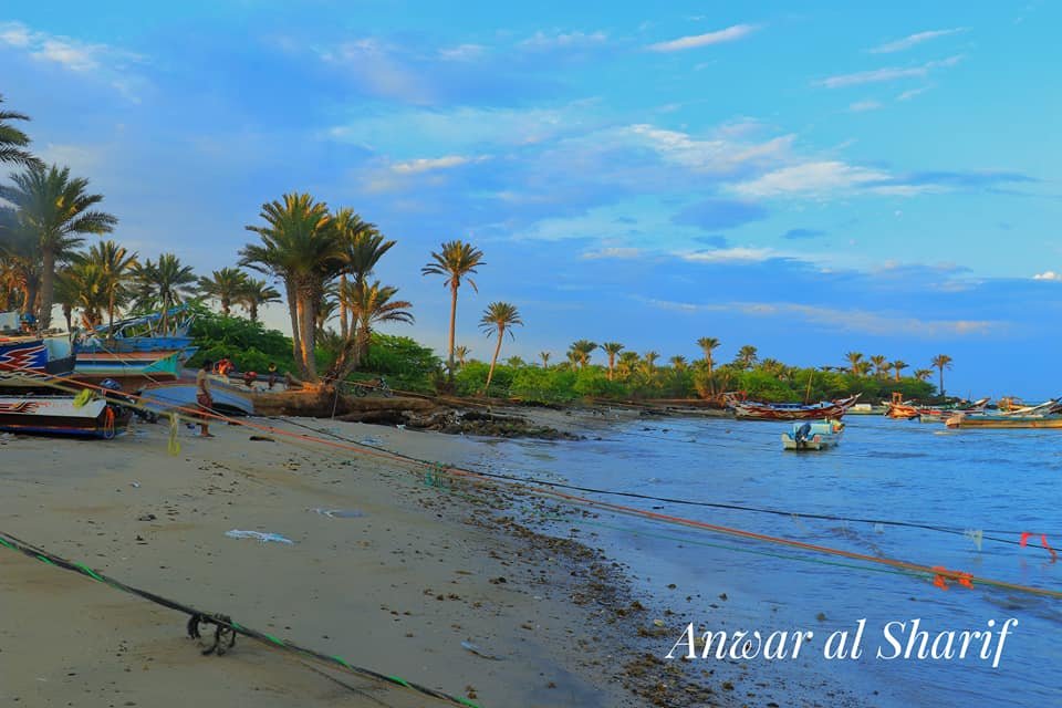 مدينة الخوخة