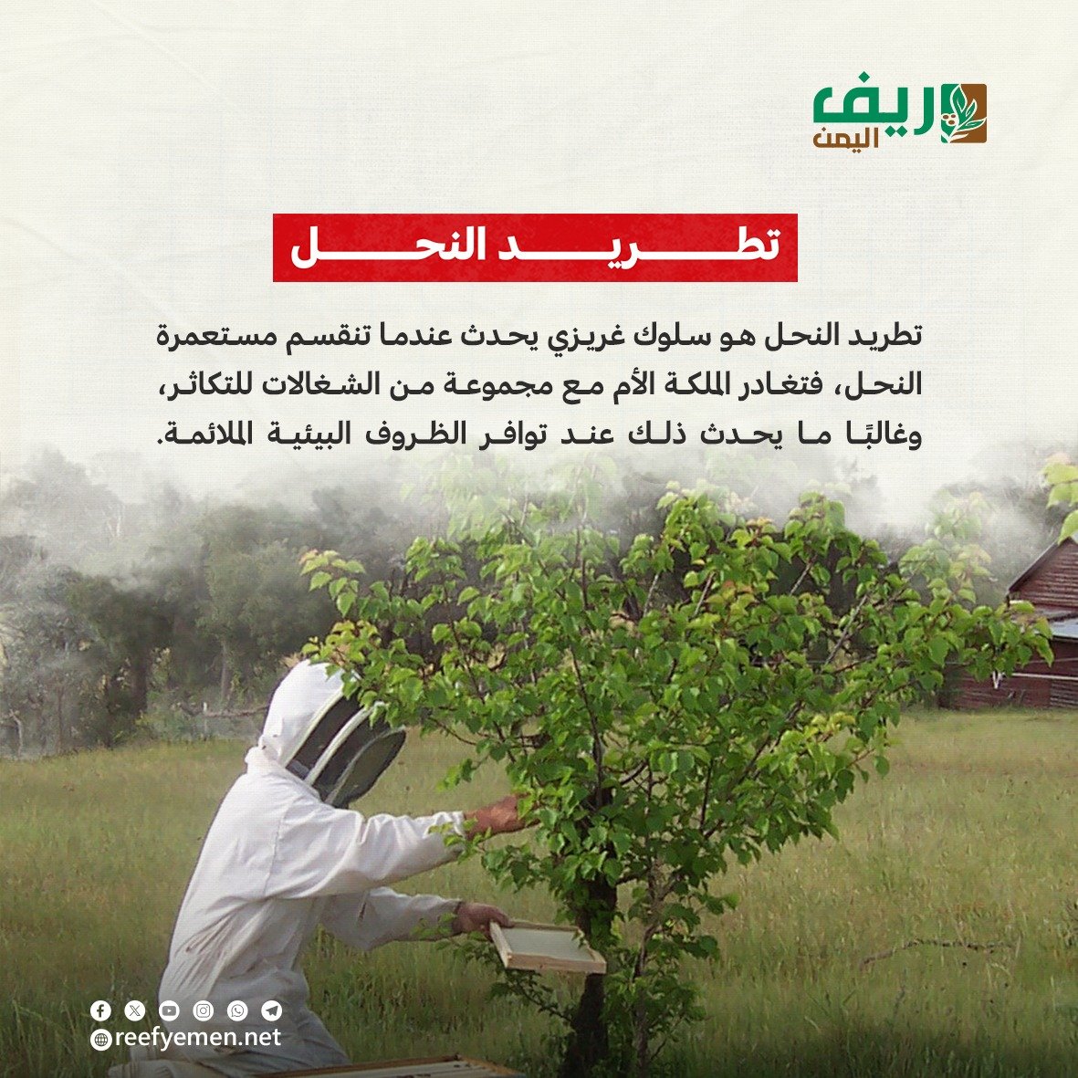 تطريد النحل 