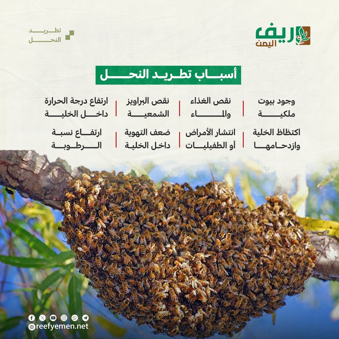 ماهو تطريد النحل؟