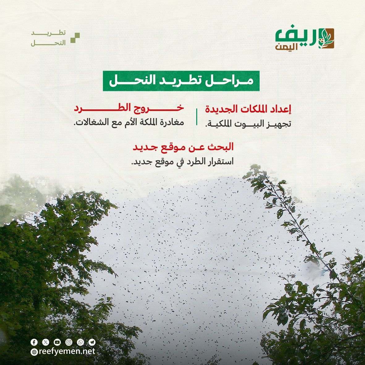 ماهو تطريد النحل؟