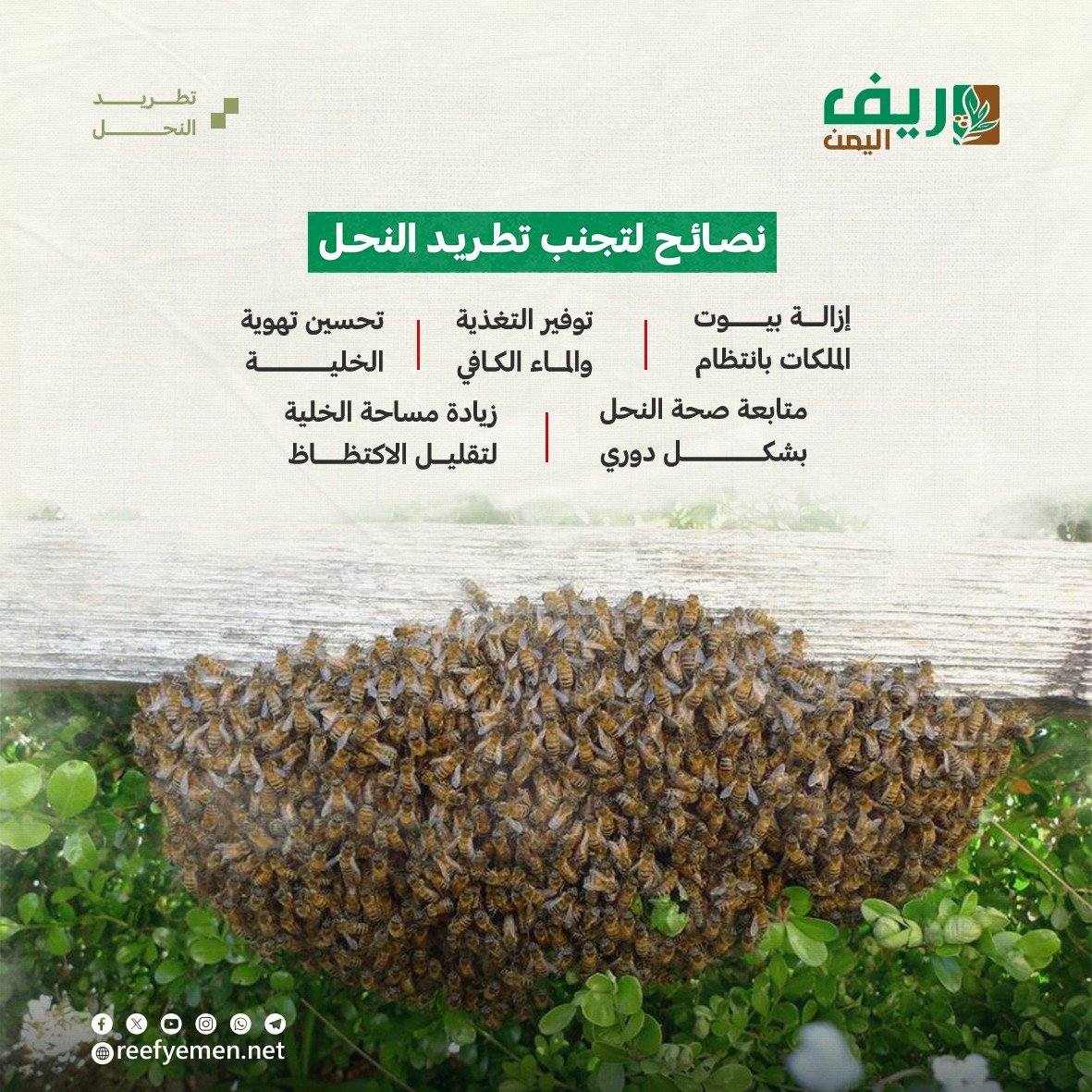 ماهو تطريد النحل؟
