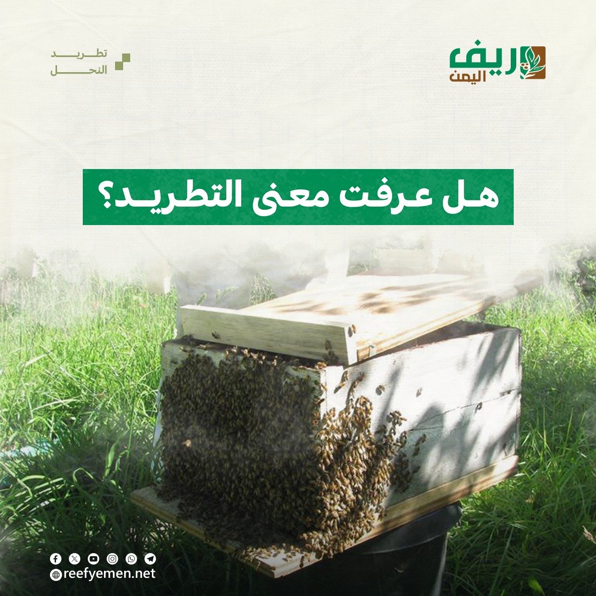 ماهو تطريد النحل؟