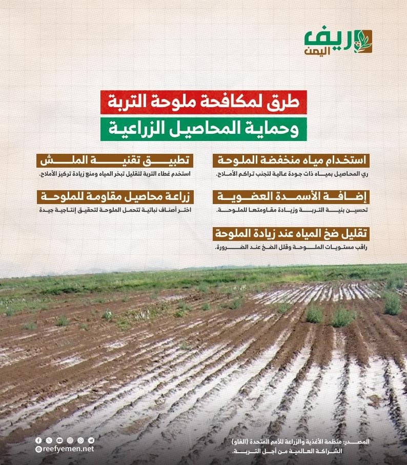 5 طرق لمكافحة ملوحة التُربة