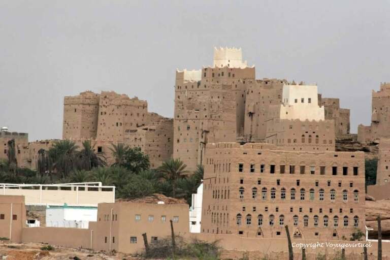 شبوة