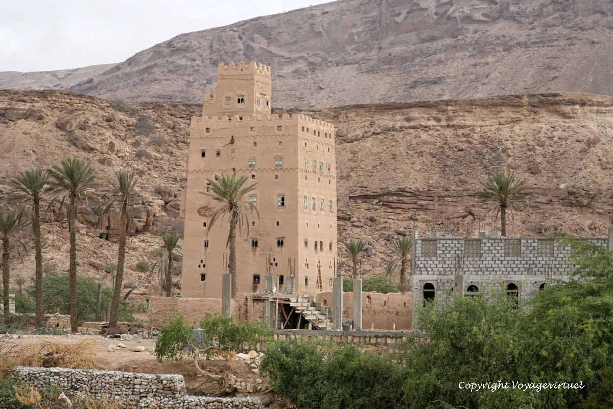 شبوة