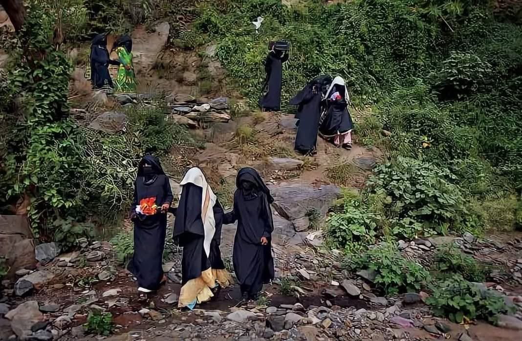الزواج بمواسم الحصاد: تقليد متجذر في ريف اليمن