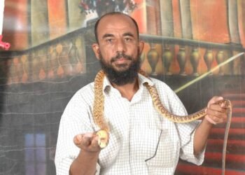 حضرموت: "إبراهيم باسلم" مغامر بين أنياب الثعابين