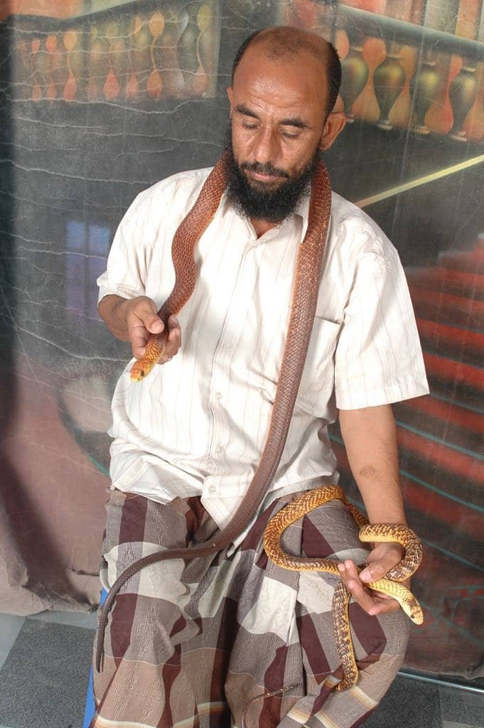 إبراهيم باسلم... مغامر بين أنياب الثعابين