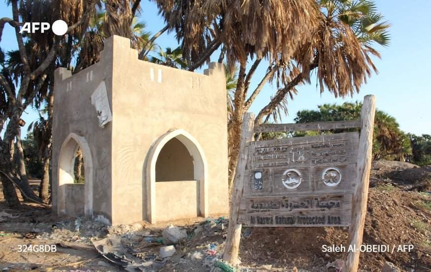 محميات الطيور في عدن: إرث بيئي بمواجهة الخطر