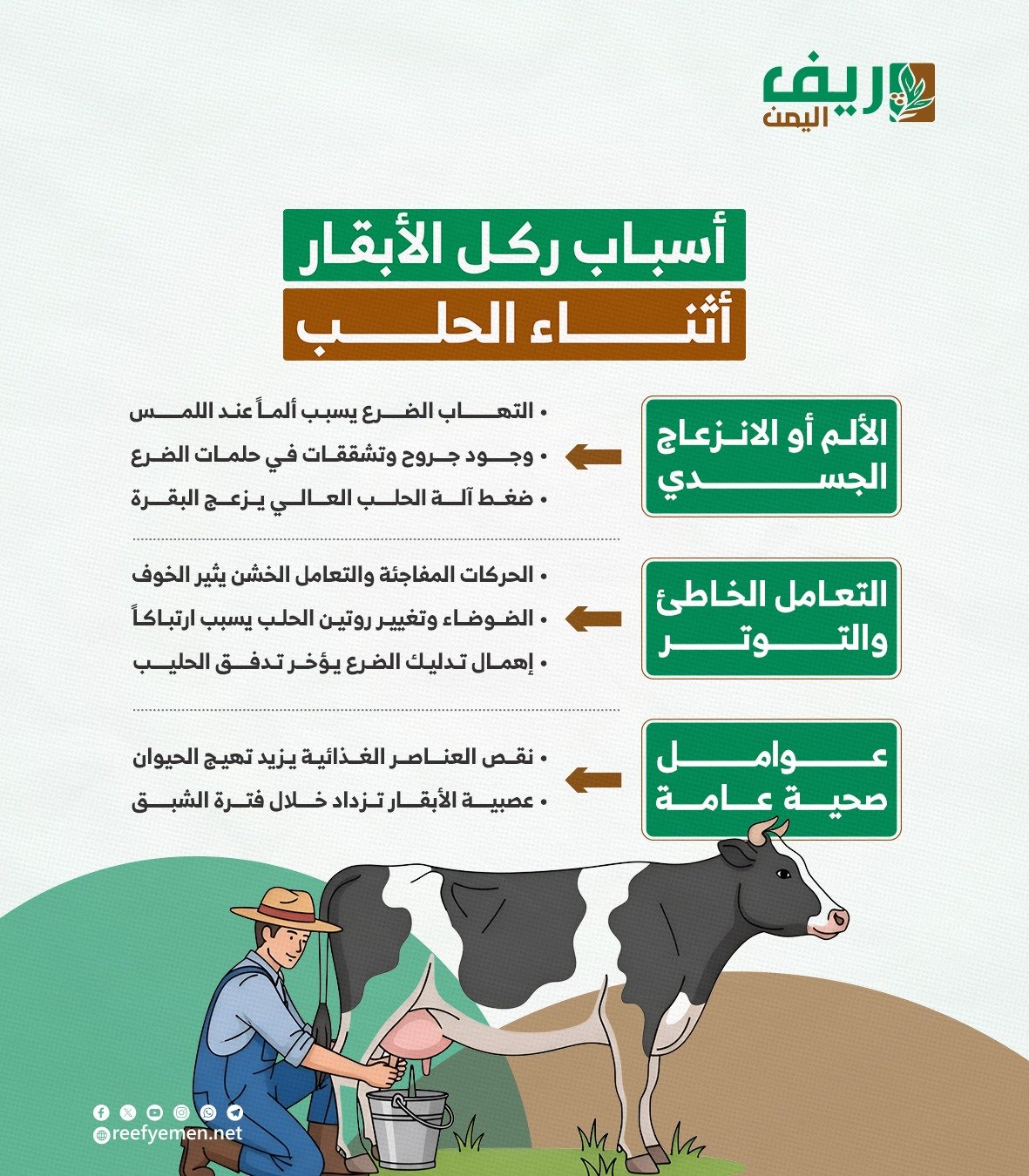 أسباب ركل الأبقار أثناء عملية الحلب