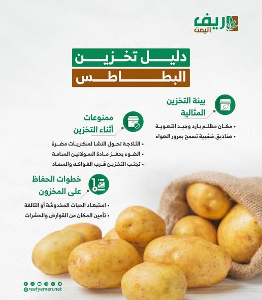 الطريقة الصحيحة لتخزين البطاط