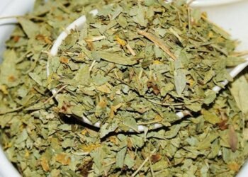 شربة السنا: تقليد يمني بين الفوائد الصحية والموروث الشعبي