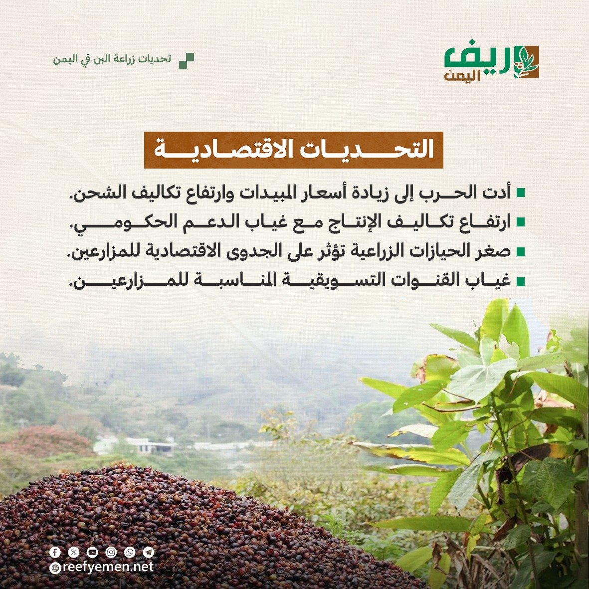 تحديات زراعة البُن اليمني