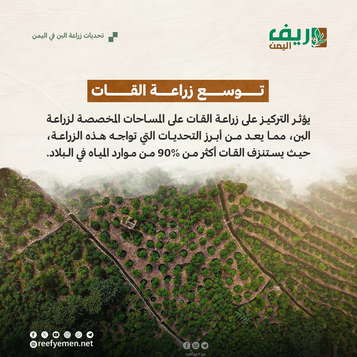 تحديات زراعة البُن اليمني