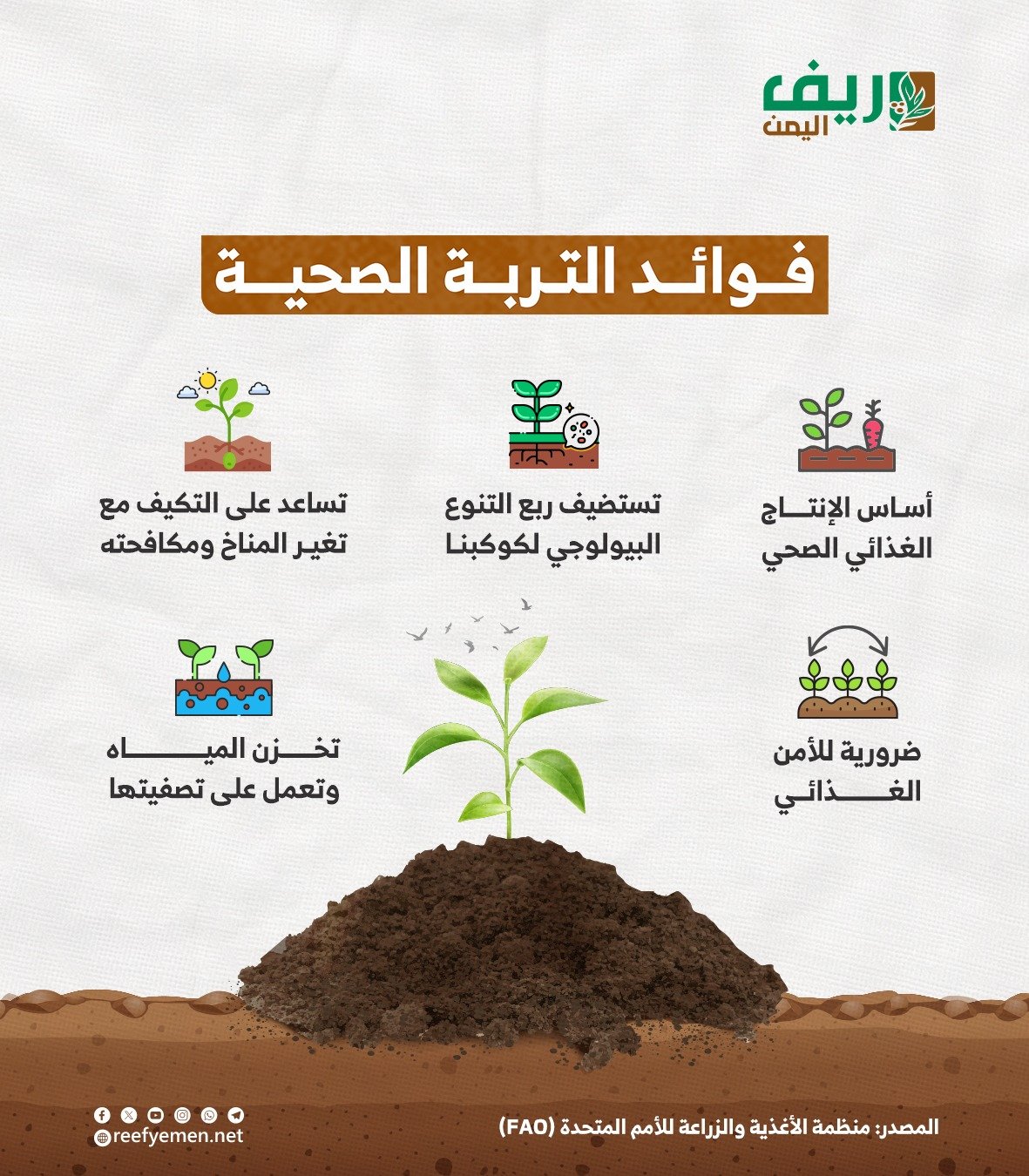 فوائد التربة الصحية