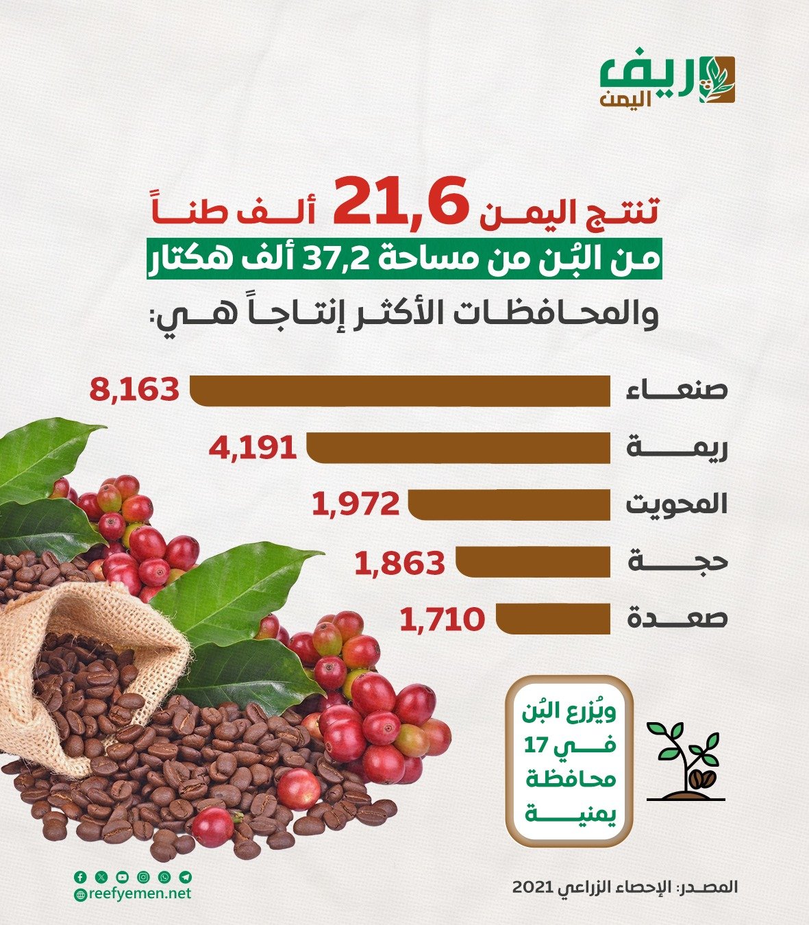 البُن .. أمل اليمنيين المتوفر في أعالي الجبال