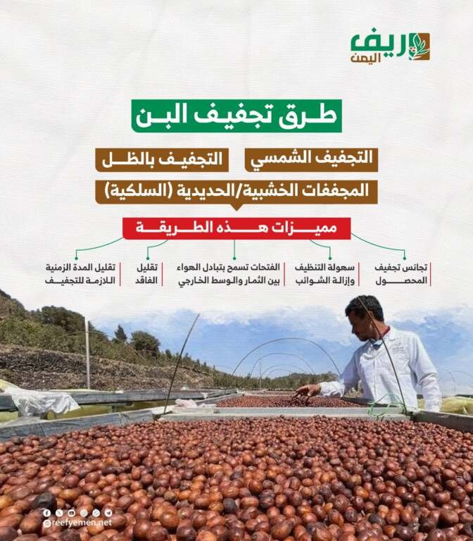 طرق تجفيف البن