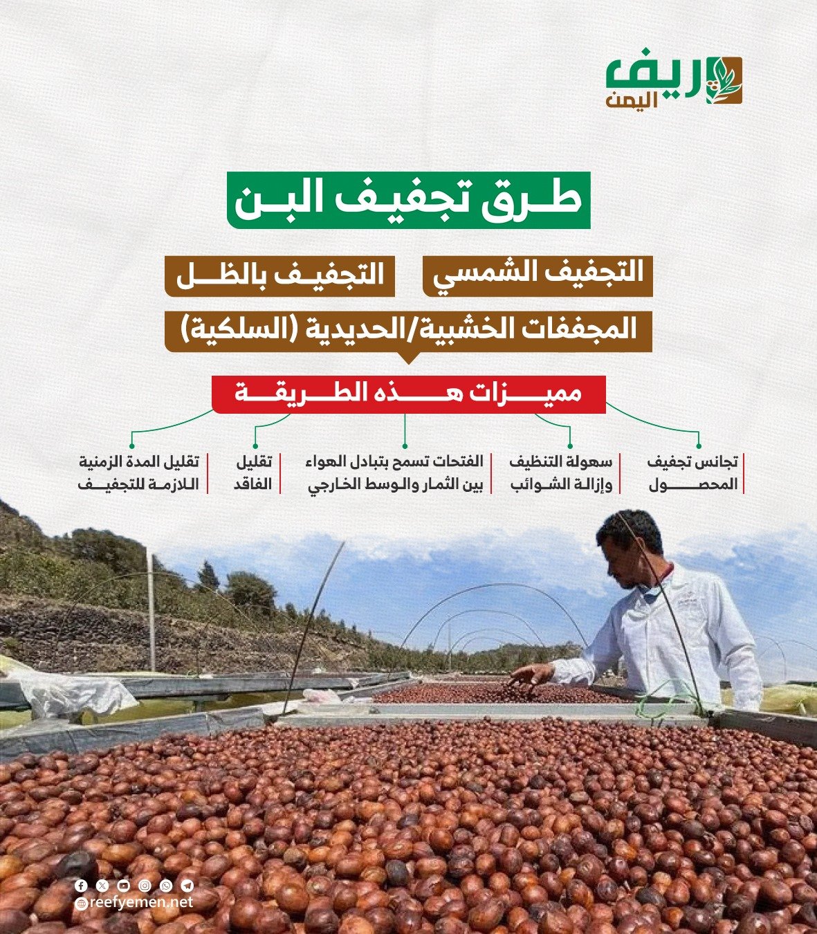 طرق تجفيف البن