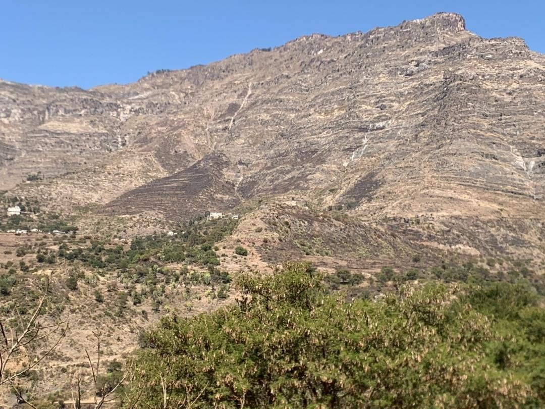الحرائق والاحتطاب.. خطر يهدد التنوع البيئي والمراعي في بعدان إب