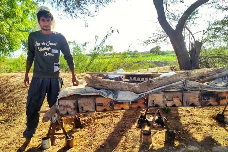 العسل اليمني يحصد 4 جوائز دولية في الجودة