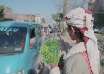 مهند والمشاقر.. قصة كفاح في زمن الحرب