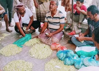 الفُلّ اللحجي.. عطر الأرض وزينة الروح